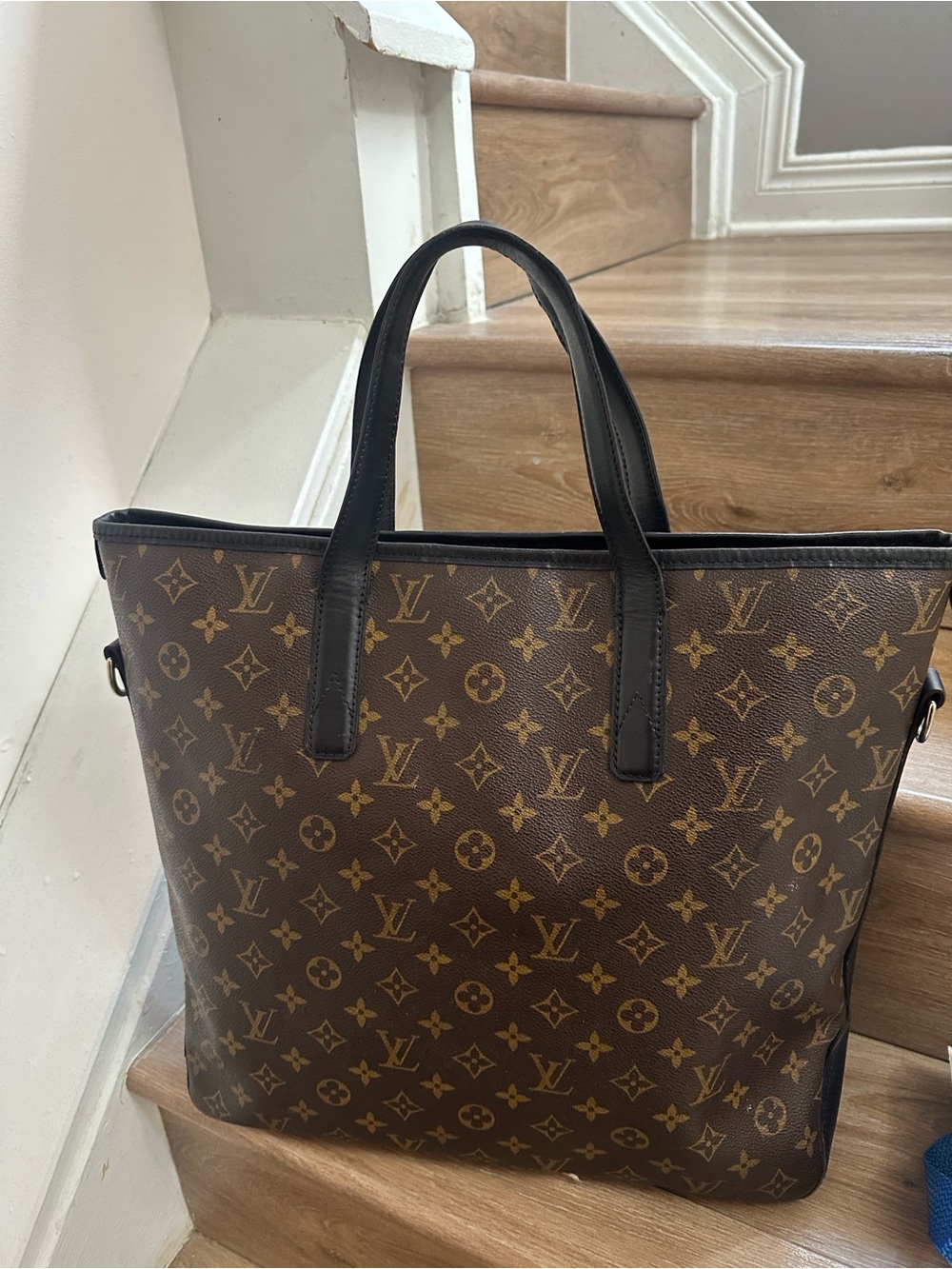 Louis Vuitton Monogram Canvas Macassar
